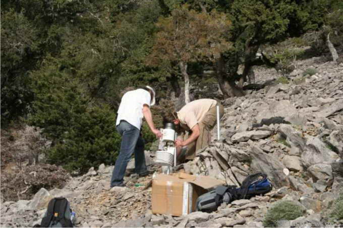   Cephalanthera,cucullata,Σεφαλανθέρα Κουκουλάτα,Γάλλο,φυσιοδίφη,Victor Raulin,σπάνια,ορχιδέα,ενδημικά,φυτά,Κρήτη,